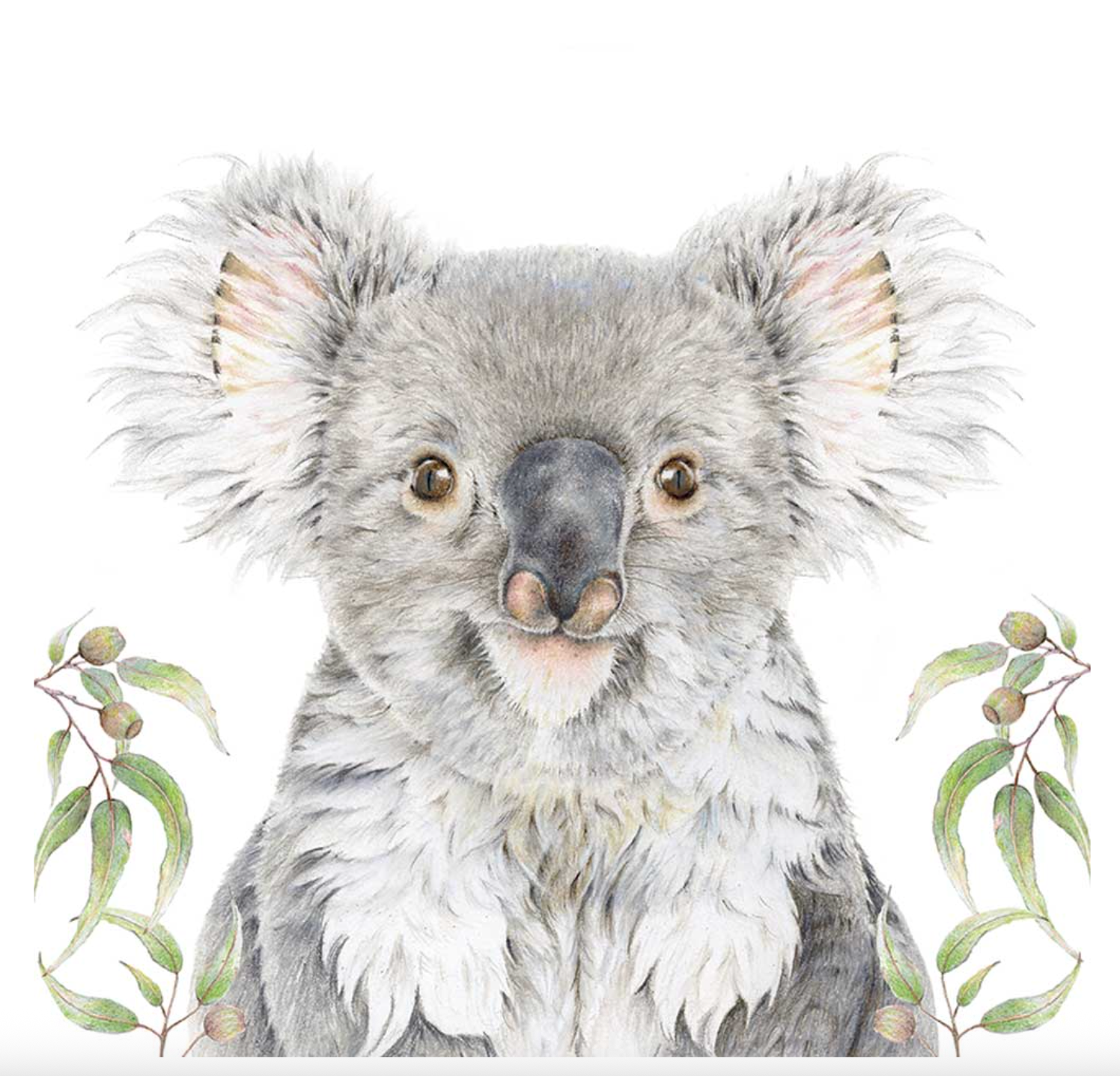 Gumnut the Koala | Art Print