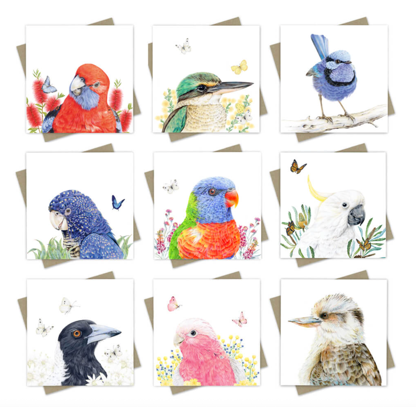 9 pack Feathery Bird Friends - Greeting Cards