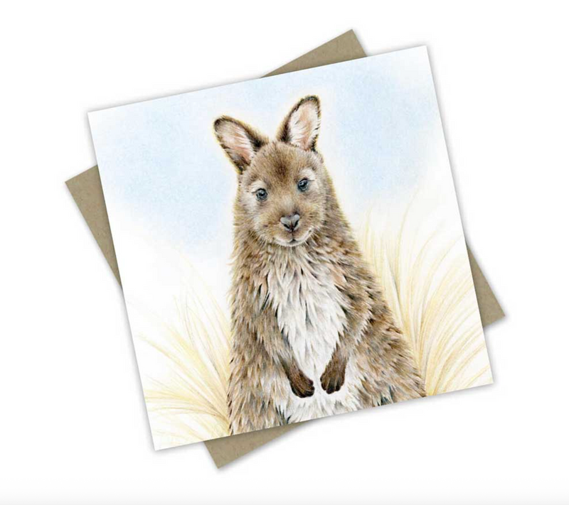 ‘Silver’ Summer Wallaby - Greeting Card Australian Wildlife Hub