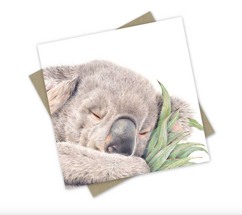 “Sleepy Rengo” the Rescue Koala - Greeting Card Australian Wildlife Hub