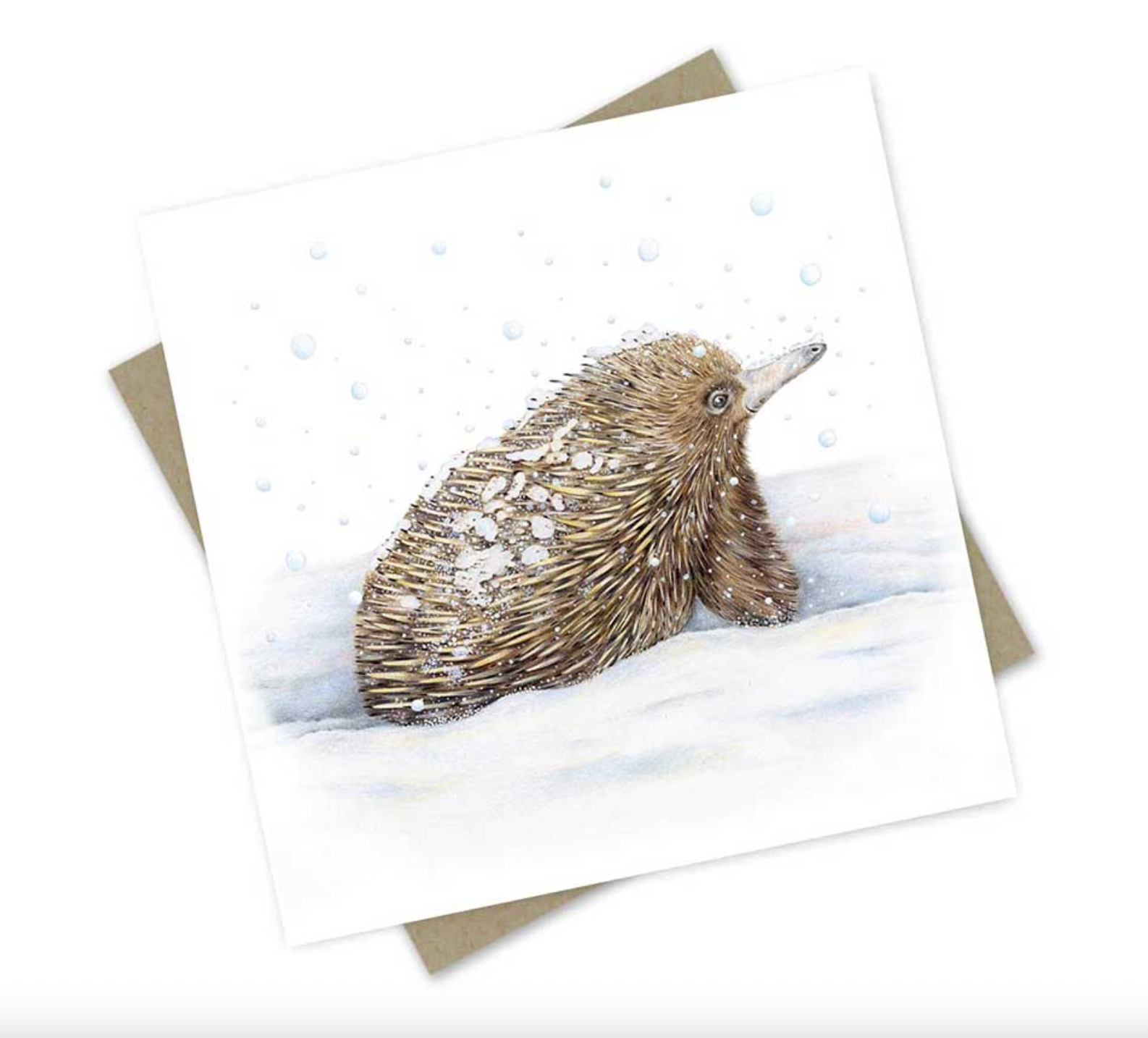 Etta the Echidna in the Snow - Greeting Card